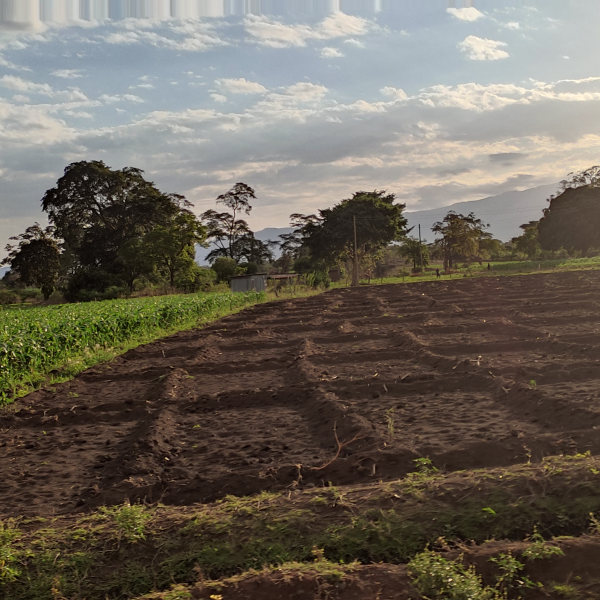 Irrigation-methods-r0jdukcnr71b74trjulzj45259b0x7zre48f0vz0q Irrigation-methods-r0jdukcnr71b74trjulzj45259b0x7zre48f0vz0q